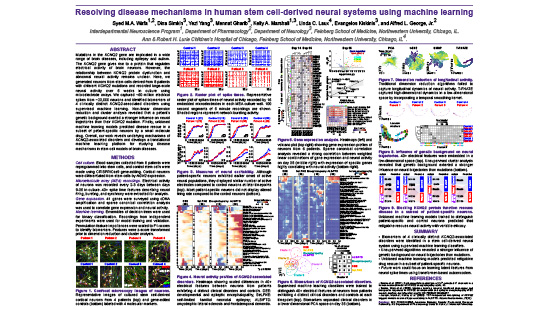 Resolving time-dependent phenotypes of stem cell-derived neurons harboring KCNQ2 mutations using machine learning