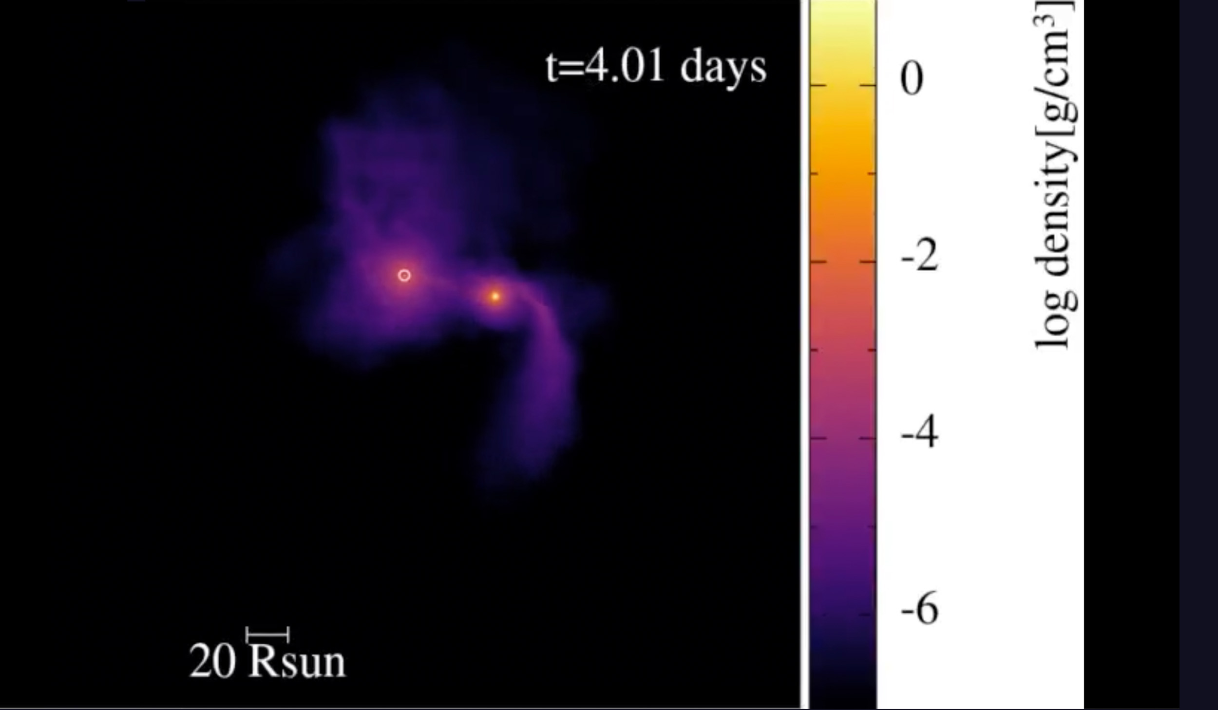 Hydrodynamical Simulations of Black Hole Star Collisions